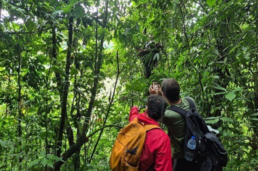Two people in a forested area, one taking a photo of a hanging plant. 4