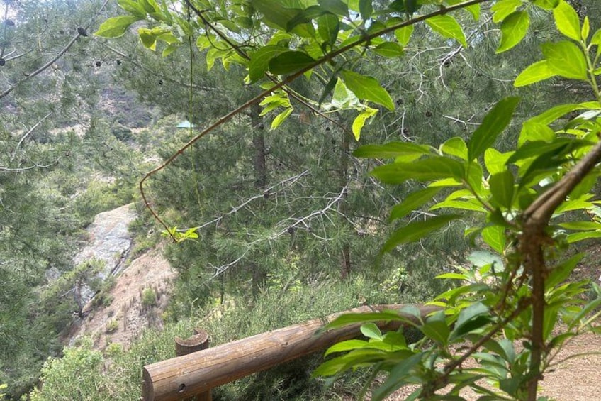A forested area with a fallen tree, a dirt path, and a stream. 5