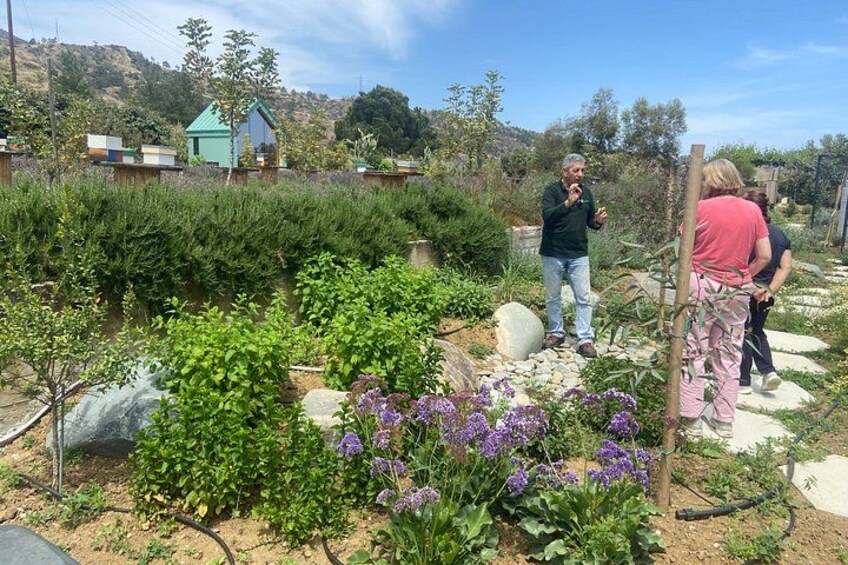 Beekeeping and Farm to Table Cooking in Cyprus 2