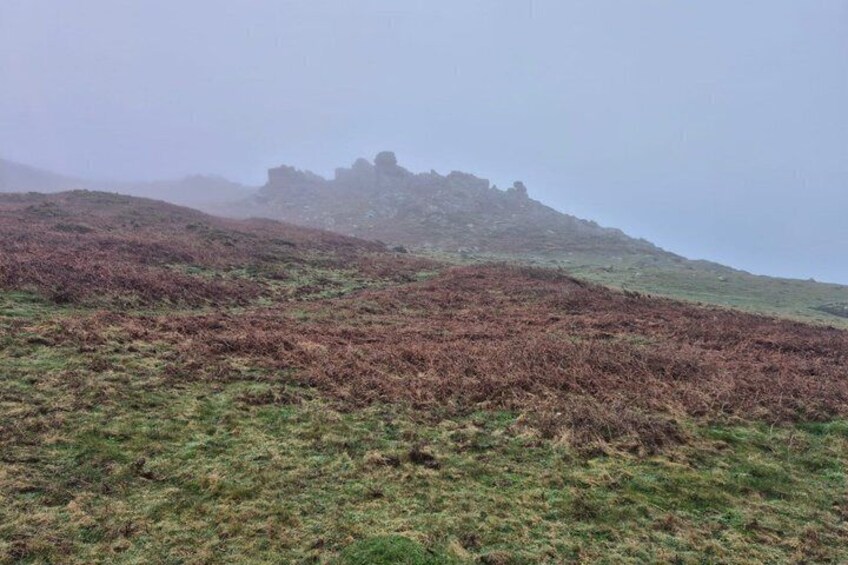 A hilly landscape with heather and a distant rocky outcrop. 3
