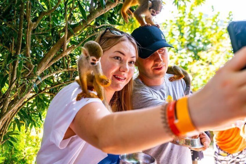 A person taking a selfie with a monkey on their shoulder and another monkey on their arm. 5