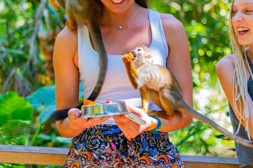 A person holding a monkey and a metal bowl. 2