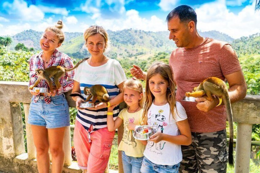 A family with monkeys, a scenic mountainous landscape, and a clear sky. 1
