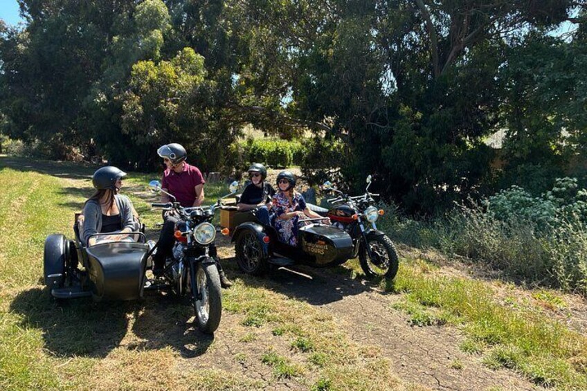 A group of people on motorcycles with sidecars, parked on a grassy roadside. 4