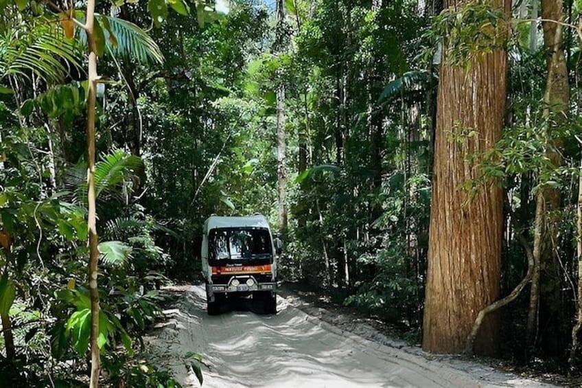 A vehicle on a forested dirt road. 3