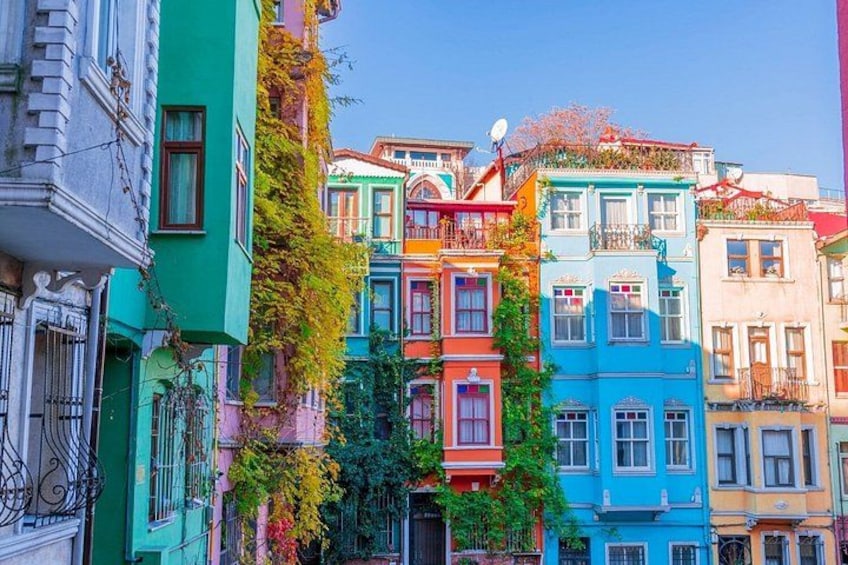A row of colorful buildings with green and blue facades, some with vines. 5