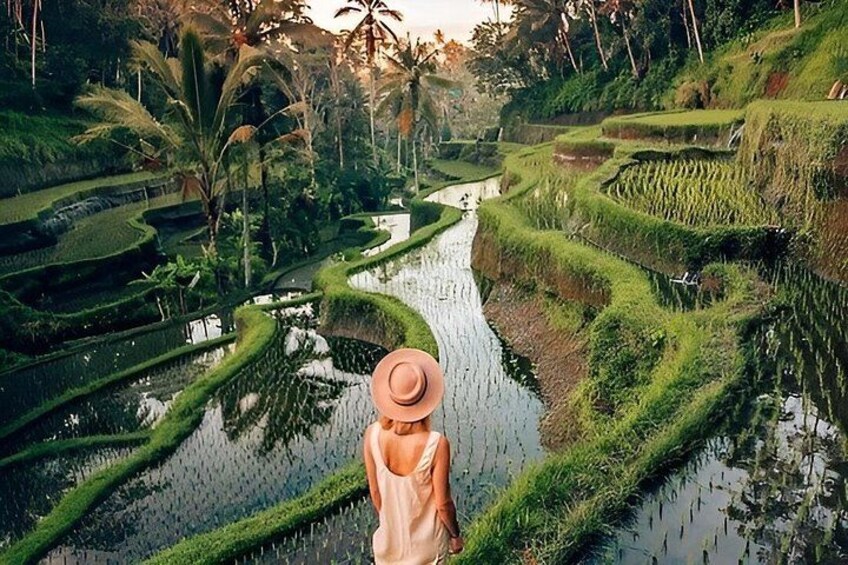 A woman in a hat standing by a water canal in a terraced rice field. 5