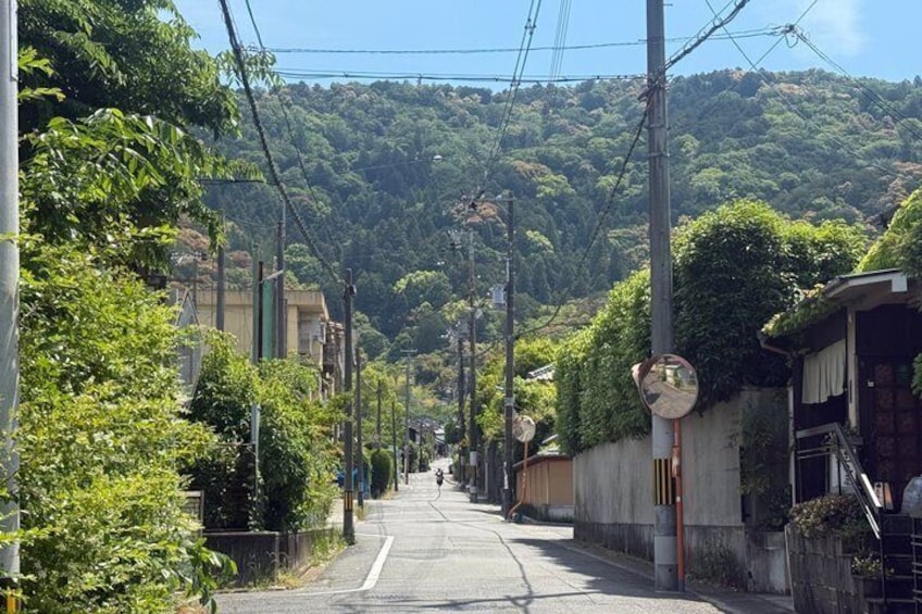 A quiet street with houses, a hill in the background, and utility poles. 4