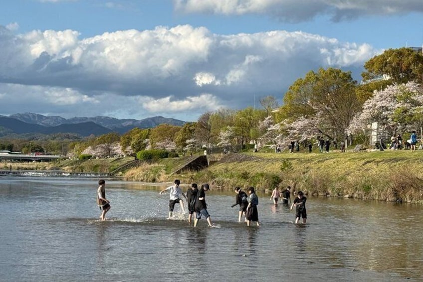 People wading in a river, cherry blossoms, and mountains in the background. 5