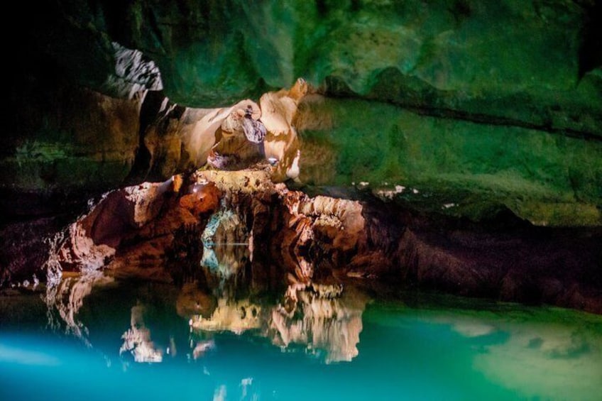 A dog on a rock with a reflection in water. 3