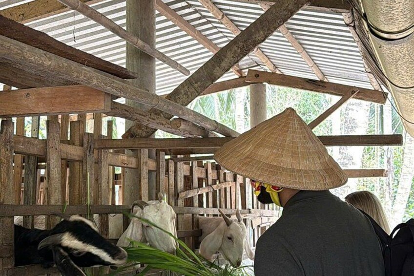 A person wearing a conical hat, wooden structures, and animals in a stable. 5