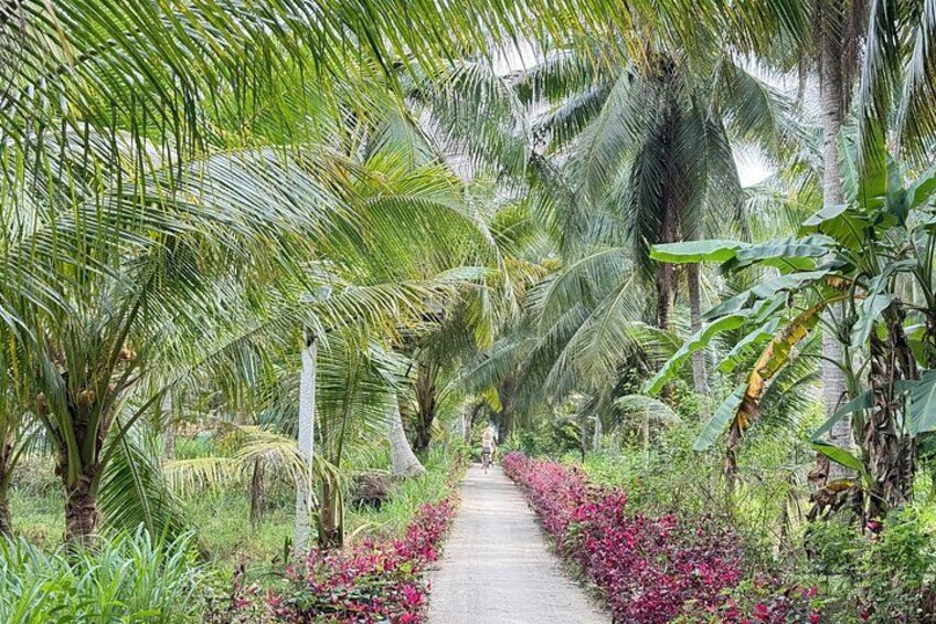 A pathway lined with palm trees and flowering plants. 2