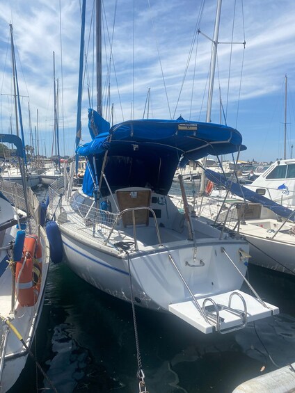 A marina with several sailboats docked, featuring masts, sails, and life rings. 1