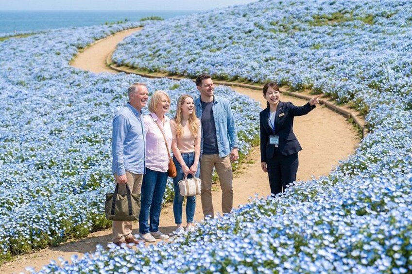En familj promenerar längs en stig genom ett fält med blå blommor. 1
