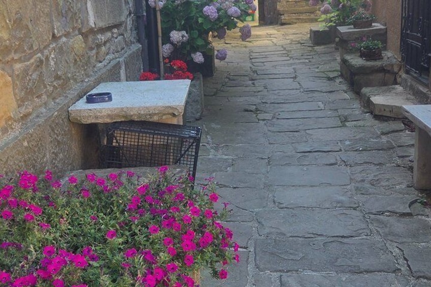 A stone-paved alley with a table, potted plants, and vibrant flowers. 4