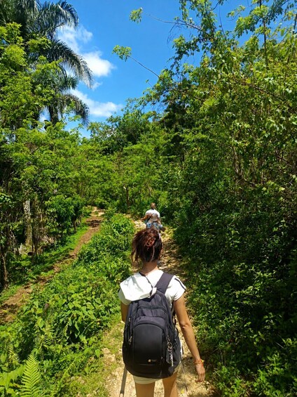 A person walking on a dirt path surrounded by dense green foliage and palm trees. 2