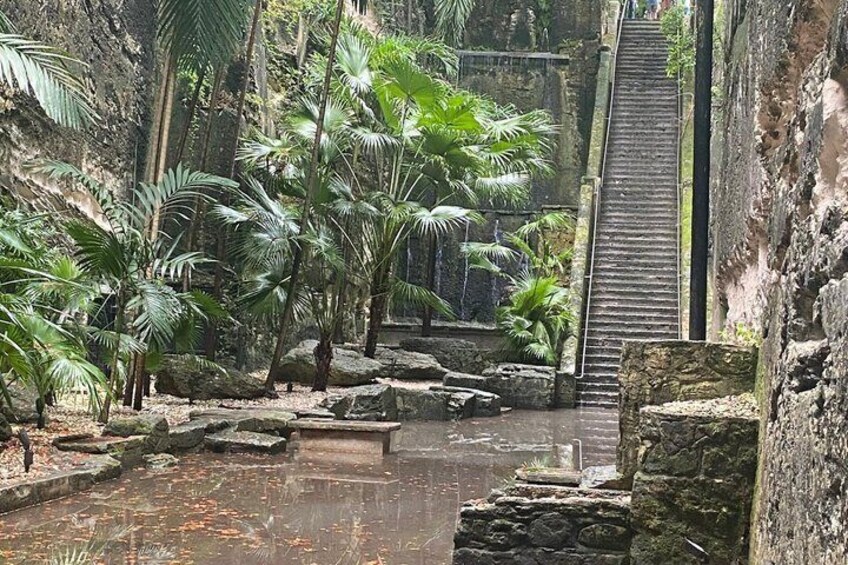 A stone staircase leading up to a higher level, surrounded by lush greenery and a small water feature. 2