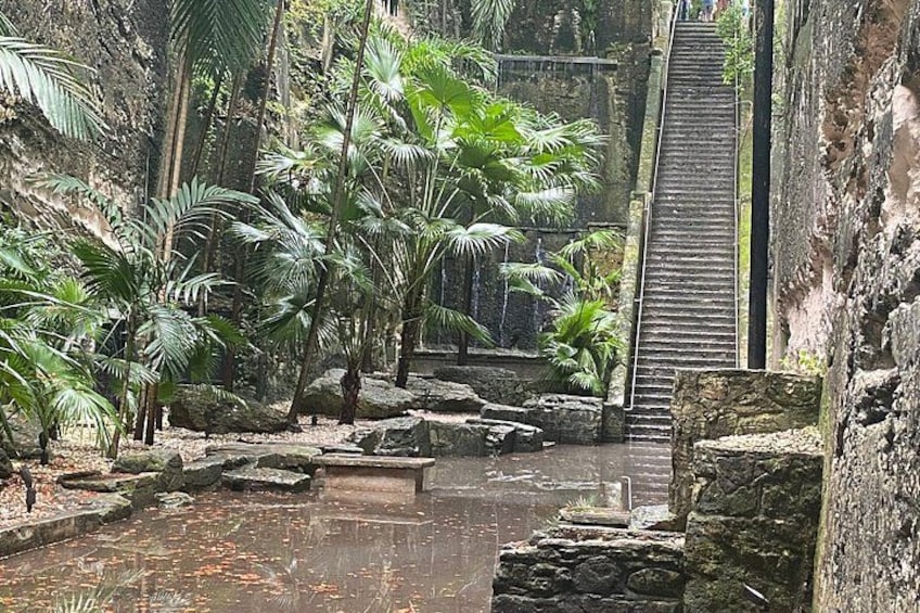 A stone staircase leading up a rocky path, surrounded by lush greenery and palm trees. 4