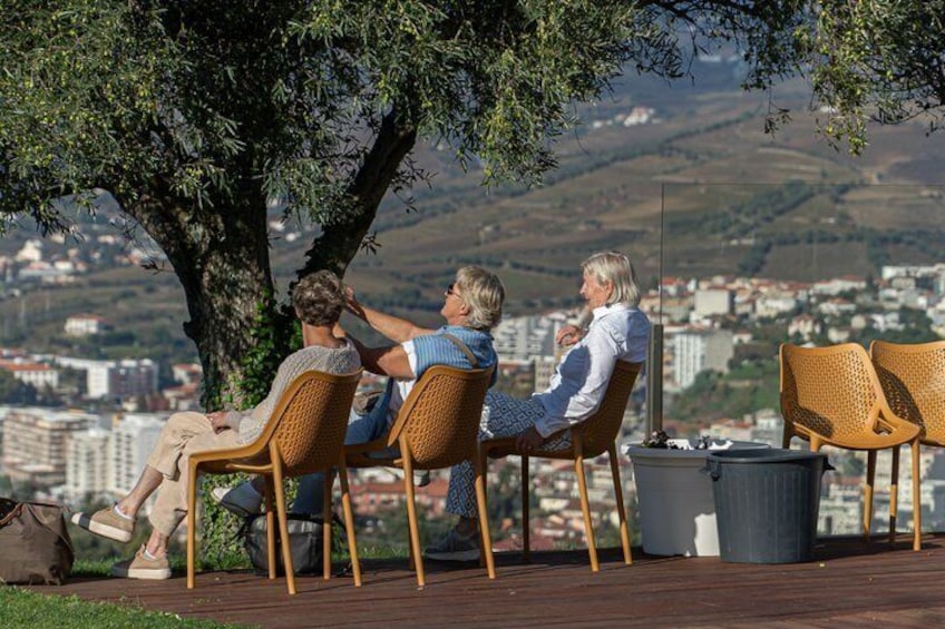 Three people sitting on wicker chairs under a tree, overlooking a cityscape. 3