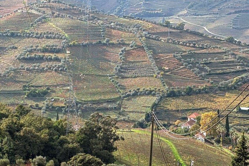 From Porto: 2 Wine Regions, Farm to Table Lunch and Private Boat 3