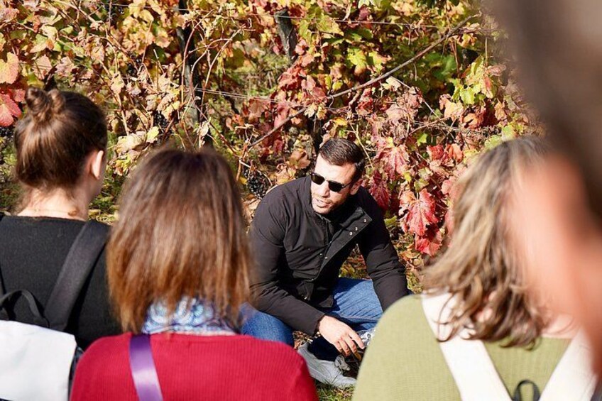 From Porto: 2 Wine Regions, Farm to Table Lunch and Private Boat 4