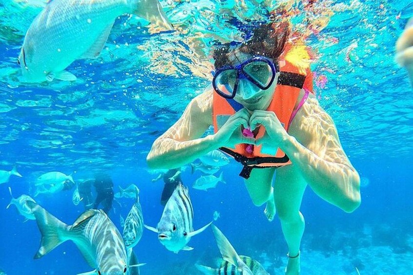 A person snorkeling underwater with fish around. 2