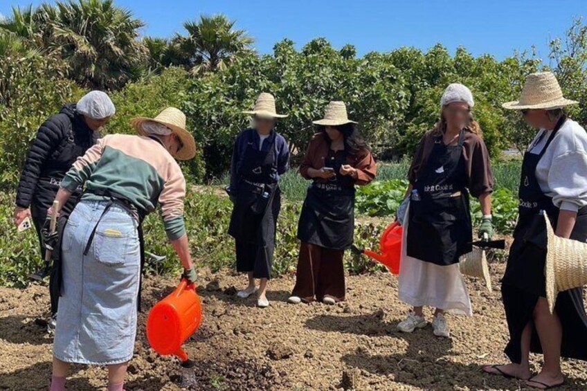 A group of people in a field, some holding orange buckets, likely engaged in agricultural work. 3