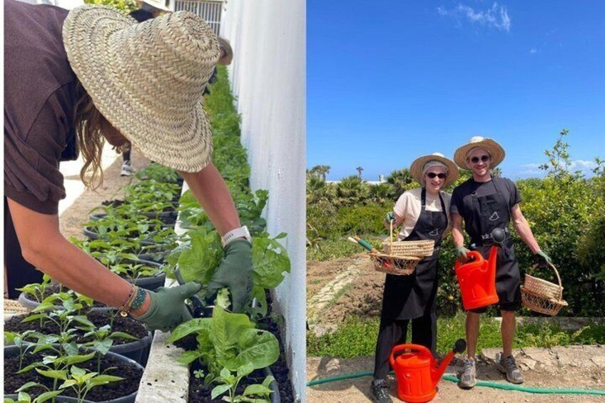 A person tending to plants in a garden bed, another person holding a watering can, and a third person with gardening tools. 1