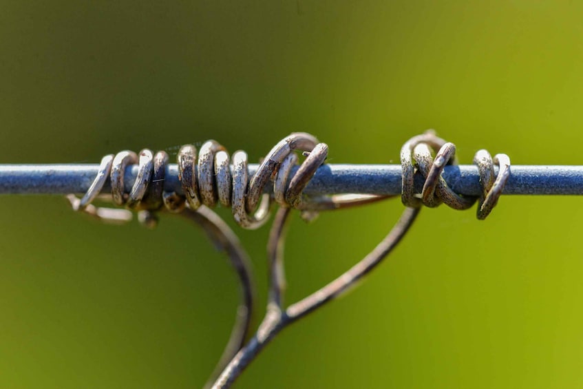 A close-up of a barbed wire with loops and bends. 4