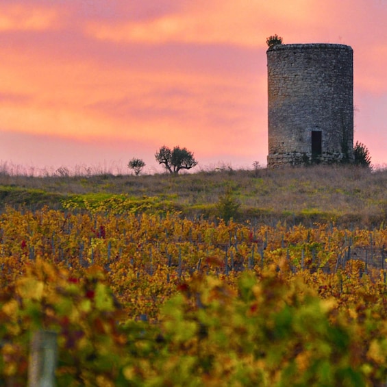 A stone tower on a hill with autumn foliage in the foreground. 5