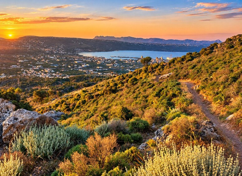 A coastal landscape with a path leading through a hillside, a body of water in the distance, and a sunset. 4