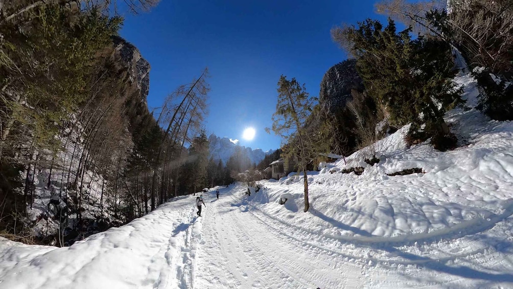 A snowy trail with trees and a mountain in the background. 1