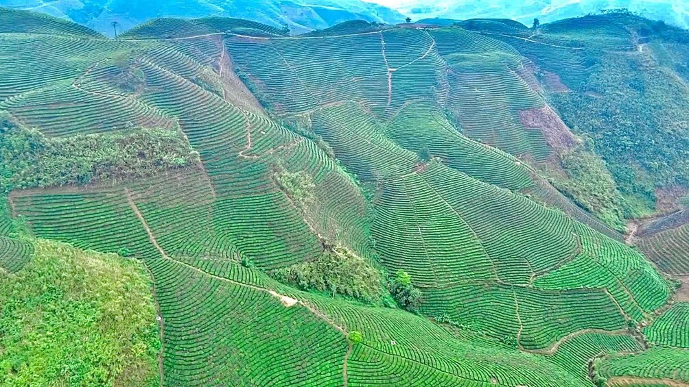 Terraced agricultural fields on a hillside. 2