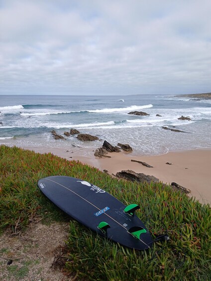 A beach with waves, a surfboard, and green vegetation. 3