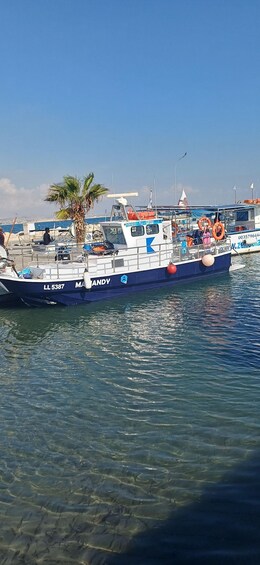 A boat named 'LL 5387 MANDY' docked at a marina with clear water, a palm tree, and other boats in the background. 1