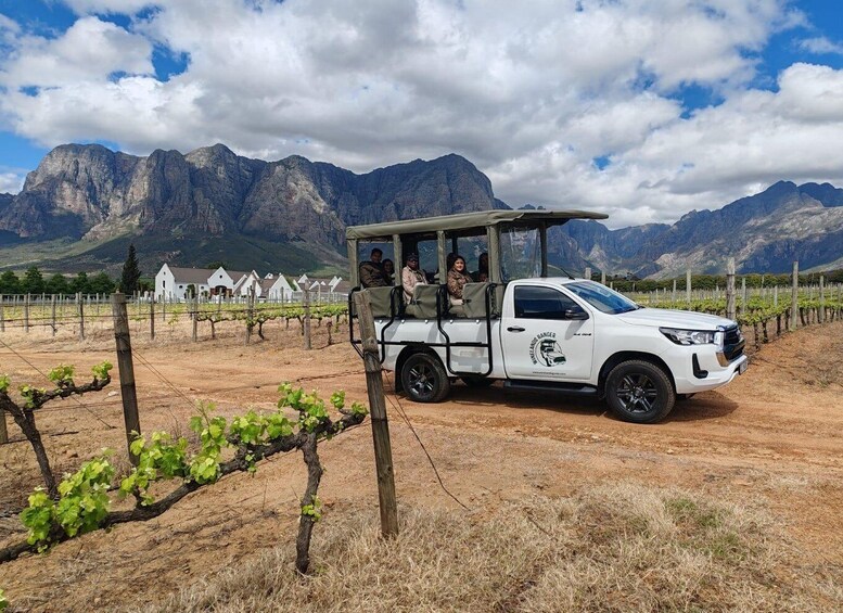 A white pickup truck with passengers, parked in a vineyard with mountains in the background. 3