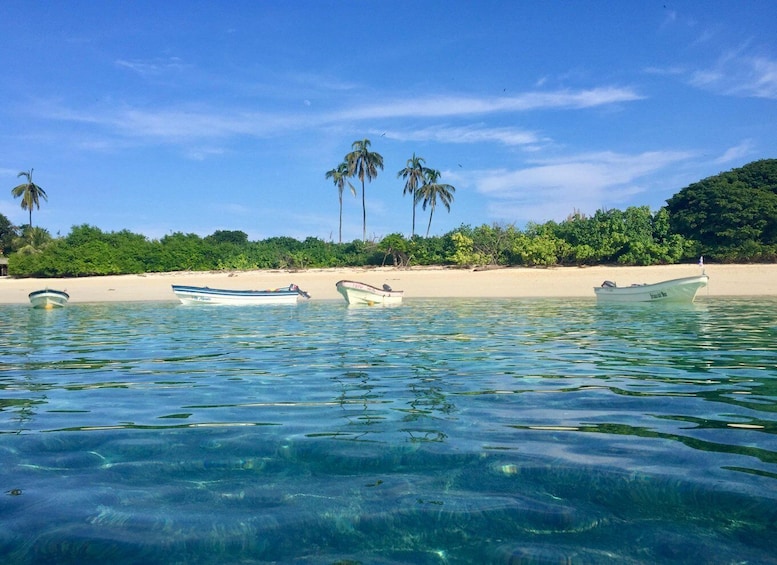 A clear tropical beach with three boats anchored in shallow water, palm trees, and a sandy shore. 3