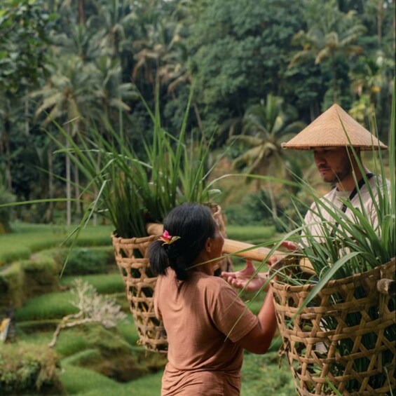 Two individuals carrying baskets of plants in a lush, green landscape. 1