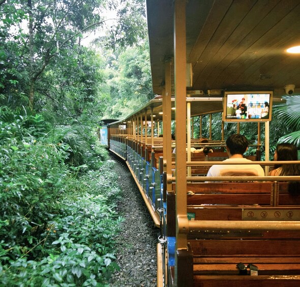 A train moving through a forested area with passengers seated inside. 4