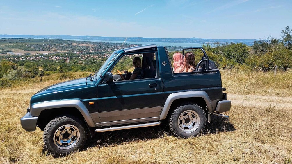 From Budapest: Lake Balaton Private Safari Panorama Ride 1