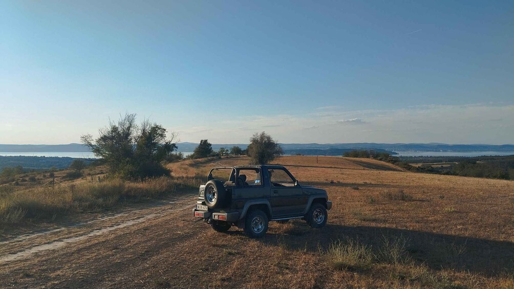 Picture 15 for Activity From Budapest: Lake Balaton Private Safari Panorama Ride 2