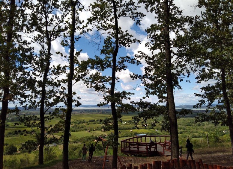 Picture 21 for Activity From Budapest: Big City Escape, Lake Balaton Private Safari 5