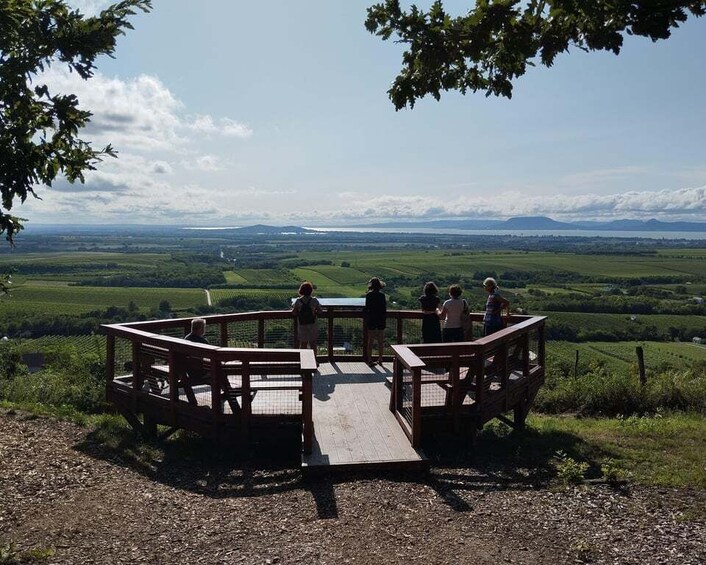 Picture 1 for Activity From Budapest: Big City Escape, Lake Balaton Private Safari 4