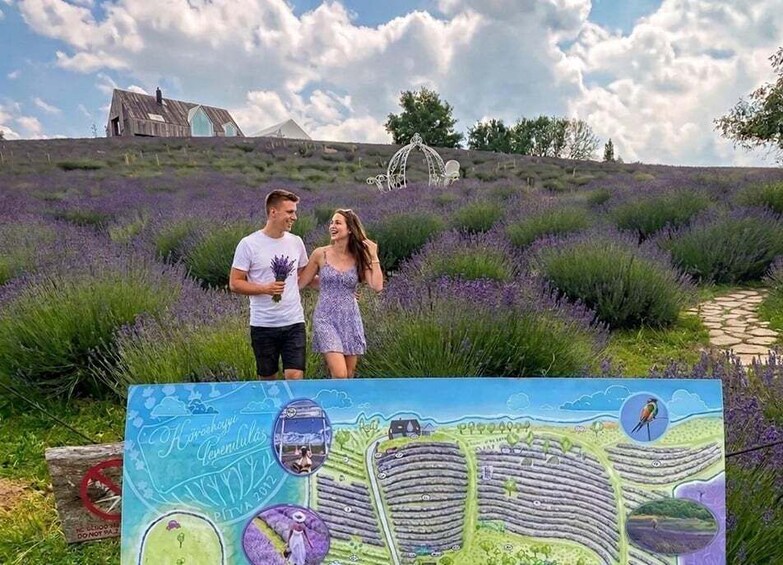 A couple standing in a lavender field with a map in the foreground. 1