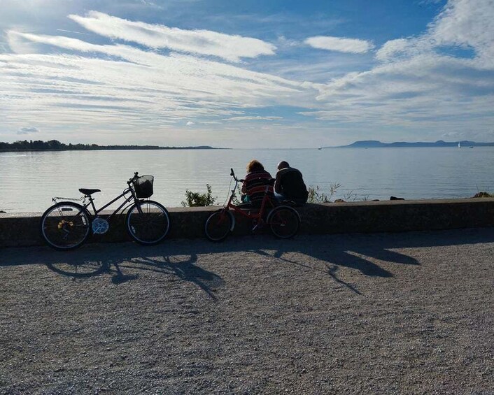 Picture 22 for Activity From Budapest: Big City Escape, Lake Balaton Private Safari 2