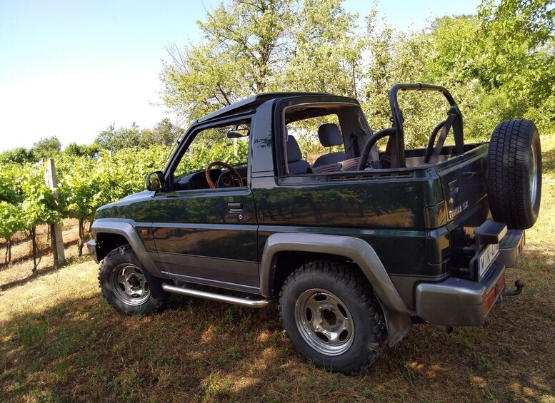 Picture 2 for Activity From Budapest: Big City Escape, Lake Balaton Private Safari 2