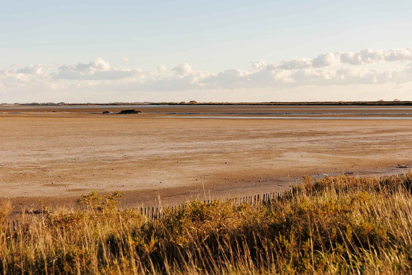 A flat, expansive salt flat with sparse vegetation in the foreground and a distant horizon under a partly cloudy sky. 2