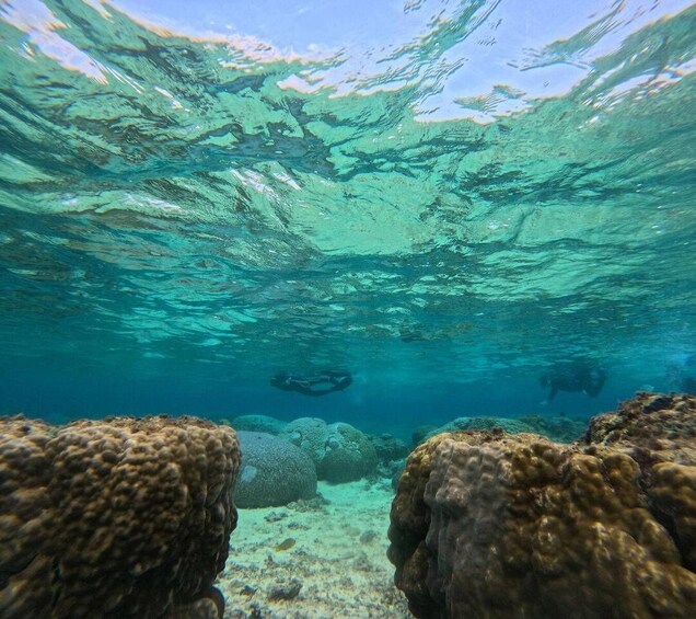 An underwater scene with coral formations and divers. 2