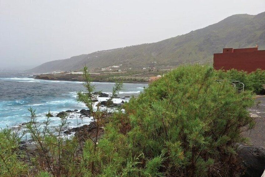 A coastal landscape with rocky shores, green vegetation, and a distant mountain range. 4
