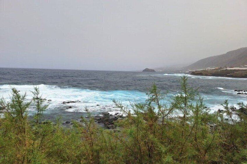 A coastal landscape with waves crashing onto rocks, a distant landmass, and sparse vegetation in the foreground. 5